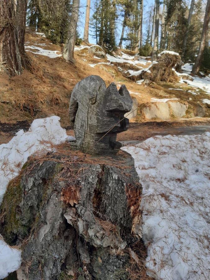 Koebl Hof Longostagno Bagian luar foto