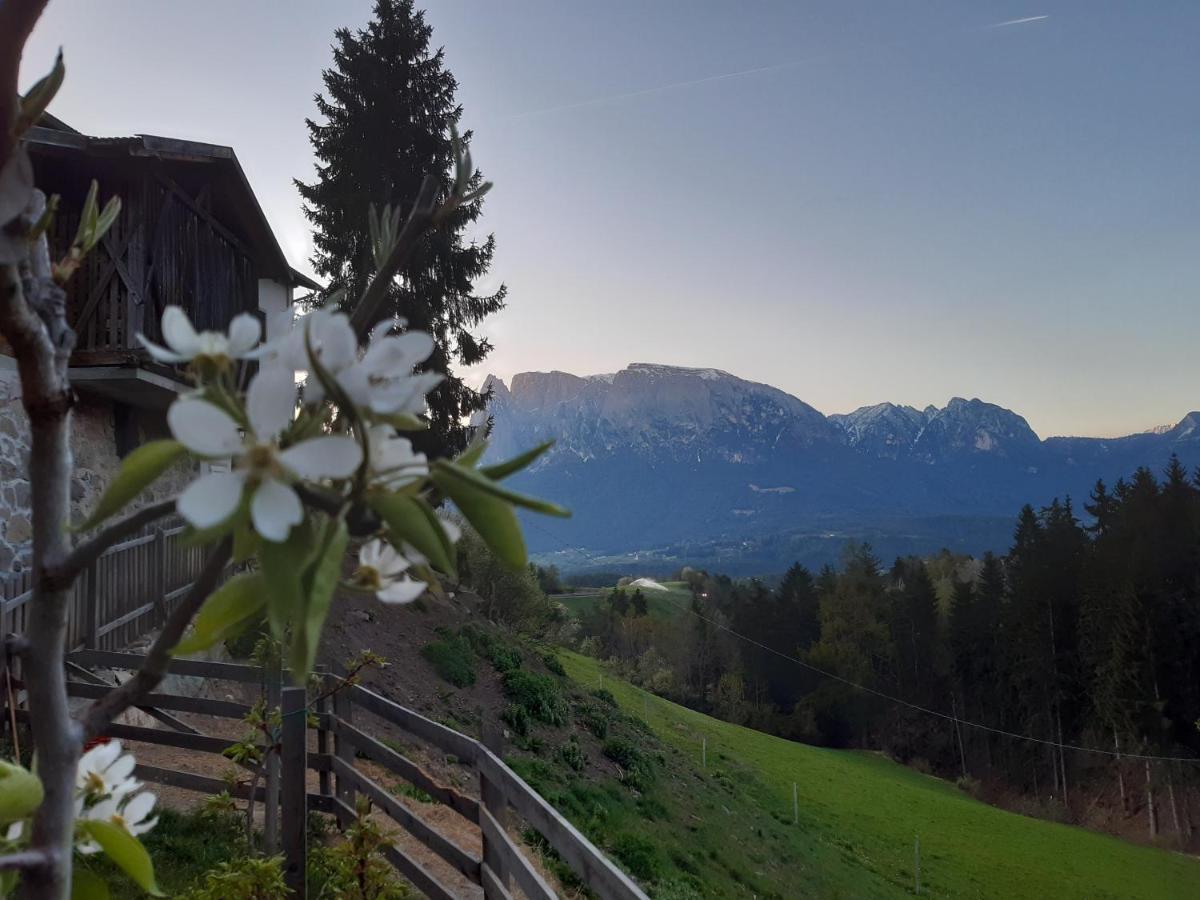 Koebl Hof Longostagno Bagian luar foto